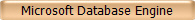 Microsoft Database Engine